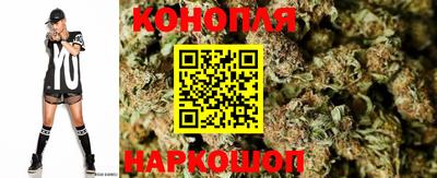 гашик Донской