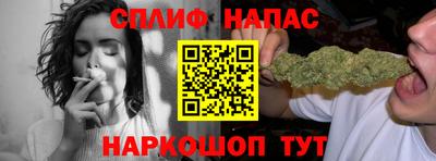 гашик Донской