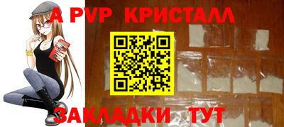 гашик Донской