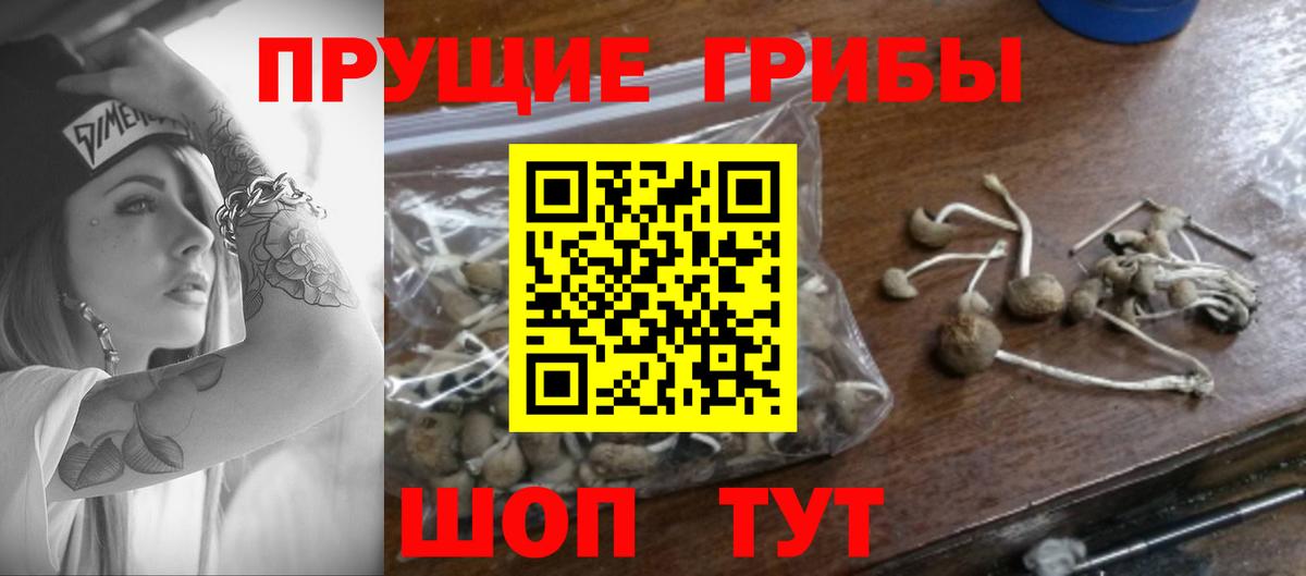 Псилоцибиновые грибы прущие грибы Новочебоксарск